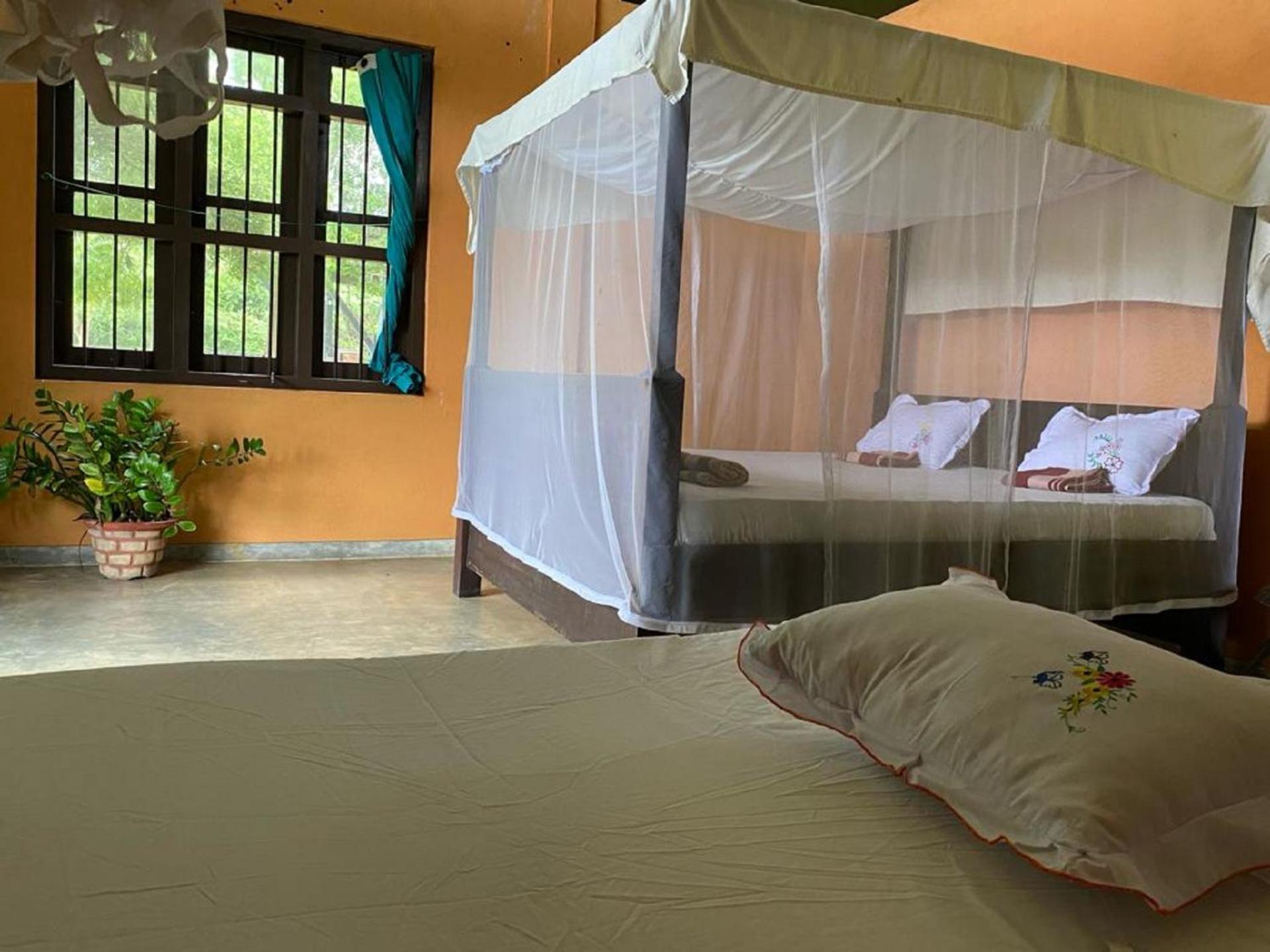 Yala Ying Yang Hostel & Camping Exteriér fotografie