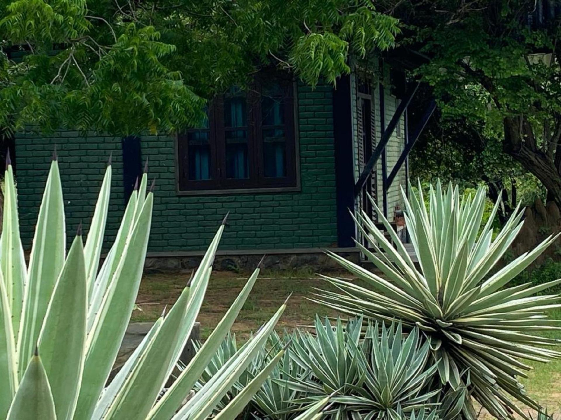 Yala Ying Yang Hostel & Camping Exteriér fotografie